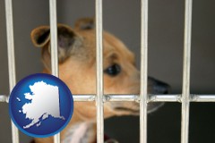 alaska map icon and a chihuahua in an animal shelter cage