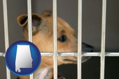 alabama map icon and a chihuahua in an animal shelter cage