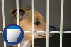 arkansas map icon and a chihuahua in an animal shelter cage