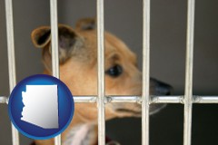 arizona map icon and a chihuahua in an animal shelter cage
