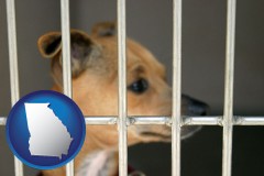 georgia map icon and a chihuahua in an animal shelter cage