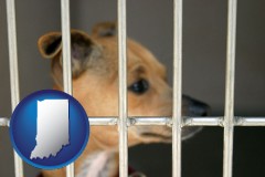 indiana map icon and a chihuahua in an animal shelter cage