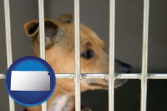 kansas map icon and a chihuahua in an animal shelter cage