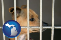 michigan map icon and a chihuahua in an animal shelter cage
