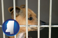 mississippi map icon and a chihuahua in an animal shelter cage