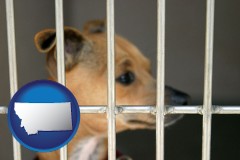 montana map icon and a chihuahua in an animal shelter cage