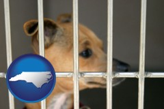 north-carolina map icon and a chihuahua in an animal shelter cage