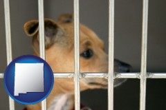 new-mexico map icon and a chihuahua in an animal shelter cage
