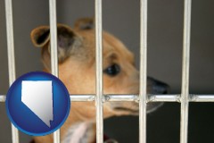nevada map icon and a chihuahua in an animal shelter cage
