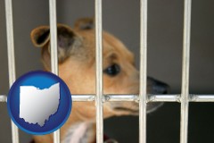 ohio map icon and a chihuahua in an animal shelter cage