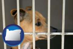 oregon map icon and a chihuahua in an animal shelter cage