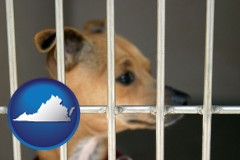 virginia map icon and a chihuahua in an animal shelter cage