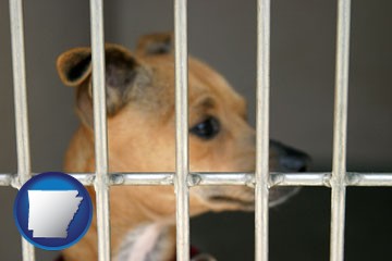 a chihuahua in an animal shelter cage - with Arkansas icon